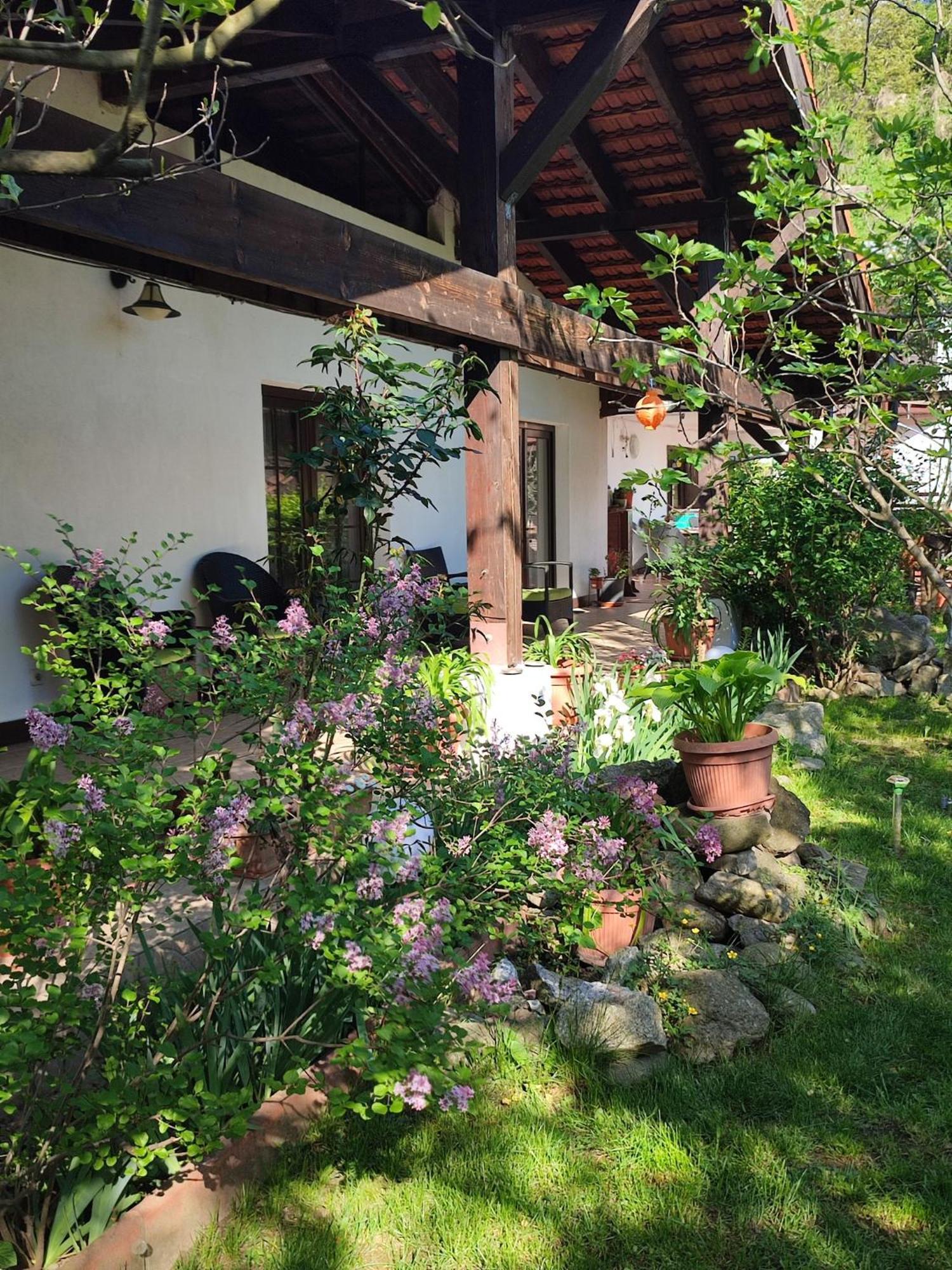 Pensiunea La Dolce Vita Băile Herculane Exterior foto
